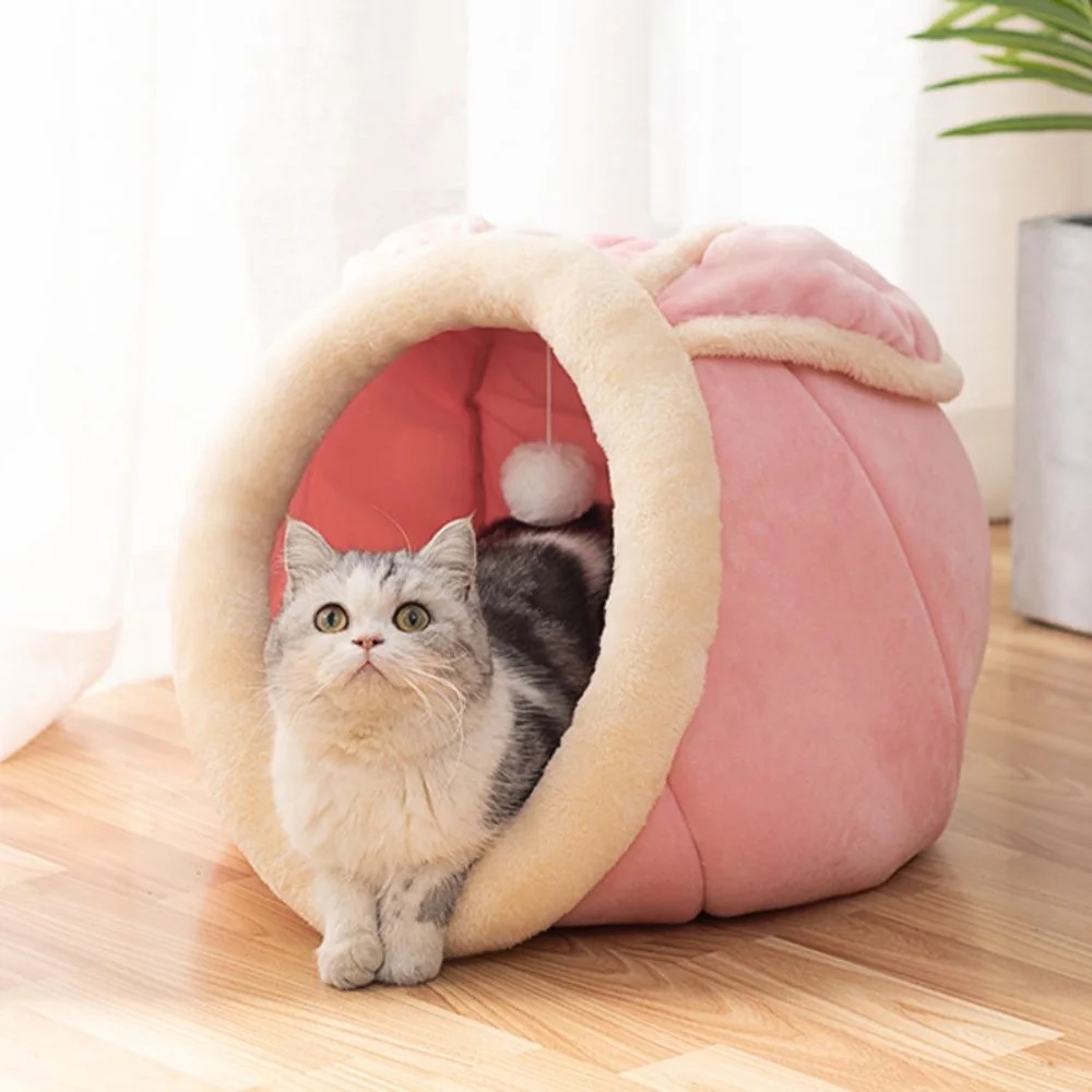 Small Dog Bed with Anti-Slip Bottom Cat Beds for Indoor Cats Kitten Cave with Hanging Toy Puppy Bed with Removable Cotton Pad
Small Dog Bed with Anti-Slip Bottom Cat Beds for Indoor Cats Kitten Cave with Hanging Toy Puppy Bed with Removable Cotton Pad