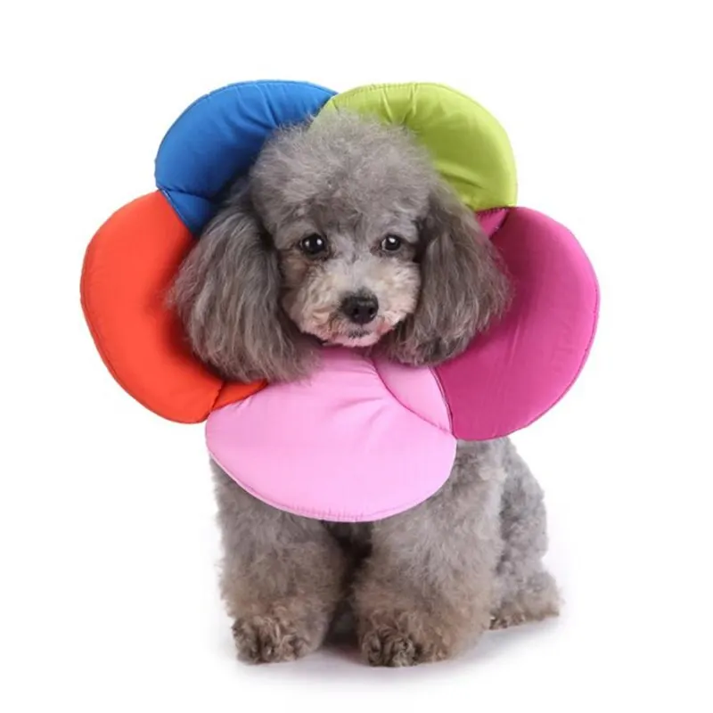 Ошейник для домашних питомцев, креативный защитный ошейник с цветами в форме коровы, для собак, набор медицинских принадлежностей для ухода за питомцами
Ошейник для домашних питомцев, креативный защитный ошейник с цветами в форме коровы, для собак, набор медицинских принадлежностей для ухода за питомцами