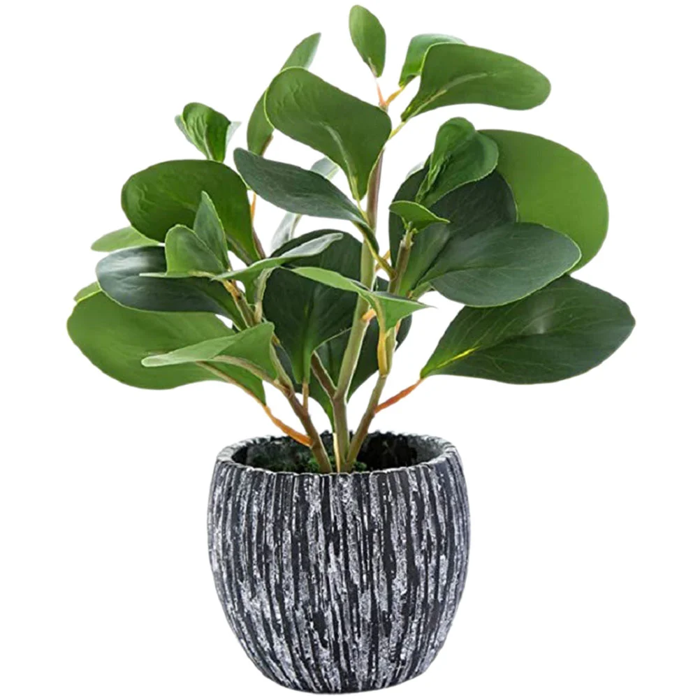 Premium Colorfast Natural Fake Bonsai Desktop Adornment Fake for Gift Option Desktop Decor
Premium Colorfast Natural Fake Bonsai Desktop Adornment Fake for Gift Option Desktop Decor