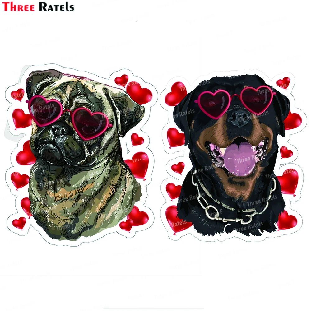 Наклейки и Переводные картинки Three Ratels J745 для Passat b5 
Наклейки и Переводные картинки Three Ratels J745 для Passat b5