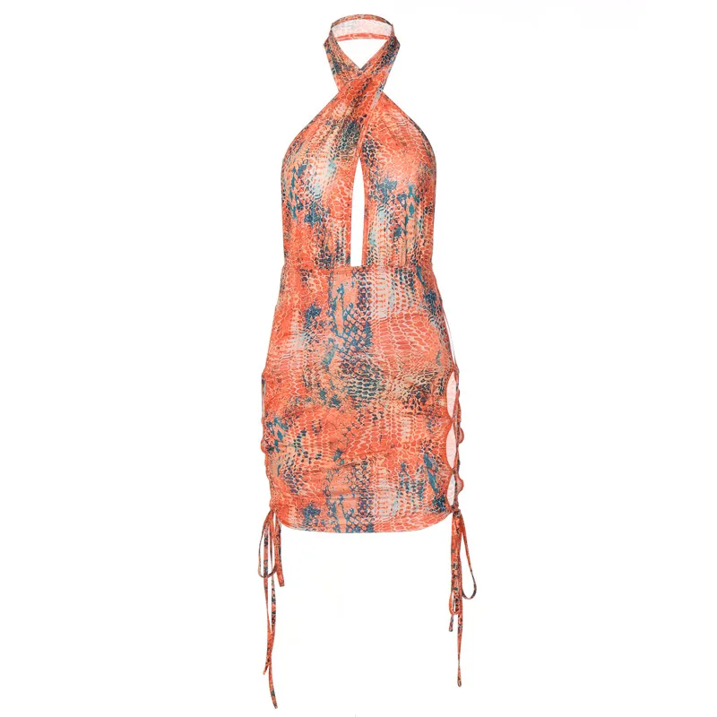 European and American Style Women's Clothing Summer New Fashion Printed Halter Backless Hollow Rope Dress
European and American Style Women's Clothing Summer New Fashion Printed Halter Backless Hollow Rope Dress