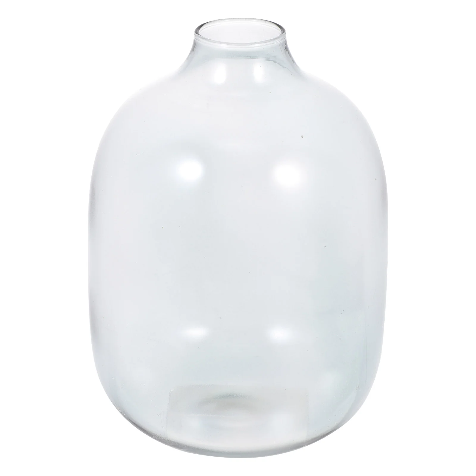 Vase Glass Flower Clear Jug Planter Terrarium Water Cylinder Vases Bubble Bulb Farmhouse Holder Bud Desktop Bottles Pot Floor
Vase Glass Flower Clear Jug Planter Terrarium Water Cylinder Vases Bubble Bulb Farmhouse Holder Bud Desktop Bottles Pot Floor