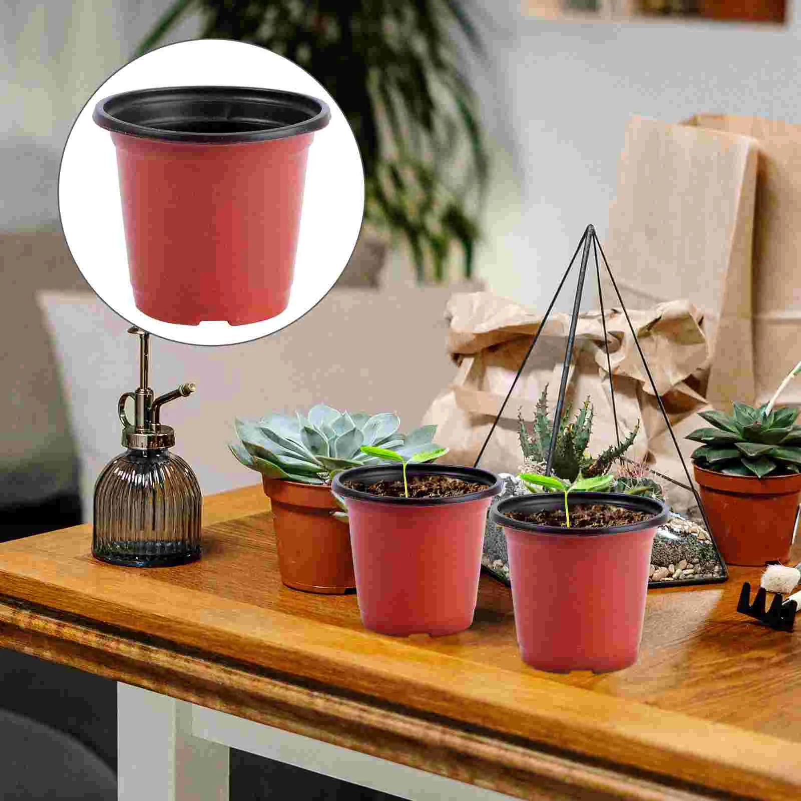 Pots Plastic Pot Nursery Flower Container Starting Planter Containers Succulents Succulent Gardening Planting Starter Inch
Pots Plastic Pot Nursery Flower Container Starting Planter Containers Succulents Succulent Gardening Planting Starter Inch