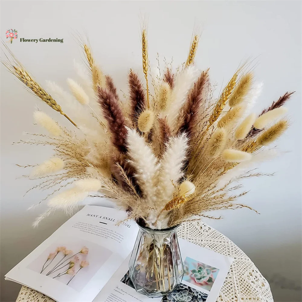 120pcs Dried Flower Pampas Bunny Tail Grass Bouquet Festival For Crafts Decor Birthday Boho Wedding Party Home Decor Accessories
120pcs Dried Flower Pampas Bunny Tail Grass Bouquet Festival For Crafts Decor Birthday Boho Wedding Party Home Decor Accessories