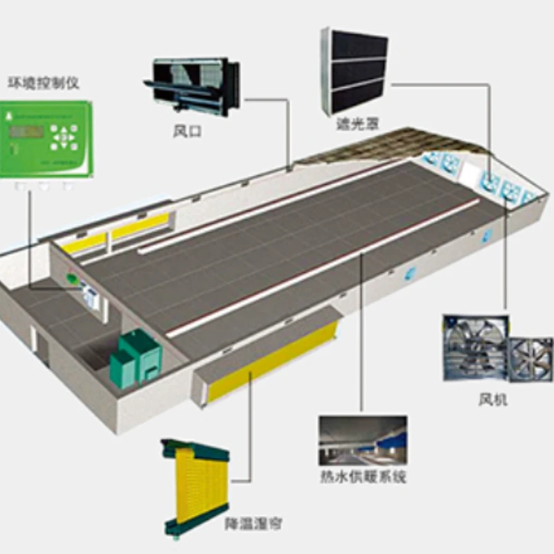 Animal feeder nipple drinking water pipeline system chicken feeding automation equipment
Animal feeder nipple drinking water pipeline system chicken feeding automation equipment