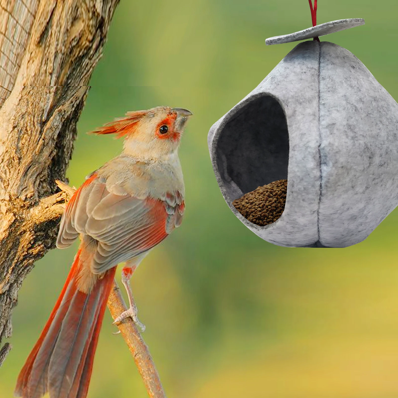1 Pcs Bird Supplies Bird Cage Feeder Parrot Birds Water Hanging Bowl Parakeet Feeder Box Pet Cage Plastic Food Container
1 Pcs Bird Supplies Bird Cage Feeder Parrot Birds Water Hanging Bowl Parakeet Feeder Box Pet Cage Plastic Food Container
