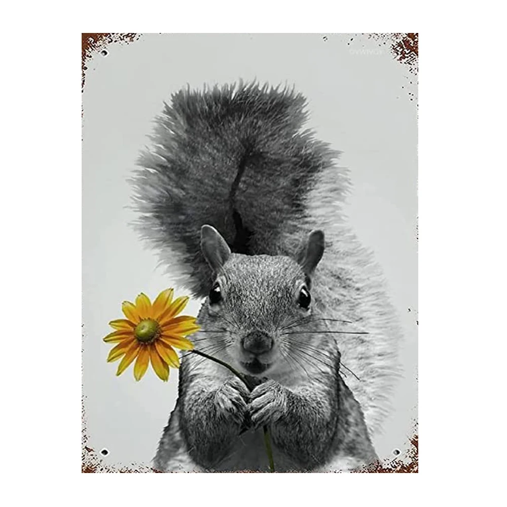 Grey Squirrel Diamond Painting Set 5D Diamond Embroidery Mosaic Art DIY Handmade Crystal Diamond Inlay Hanging Picture
Grey Squirrel Diamond Painting Set 5D Diamond Embroidery Mosaic Art DIY Handmade Crystal Diamond Inlay Hanging Picture
