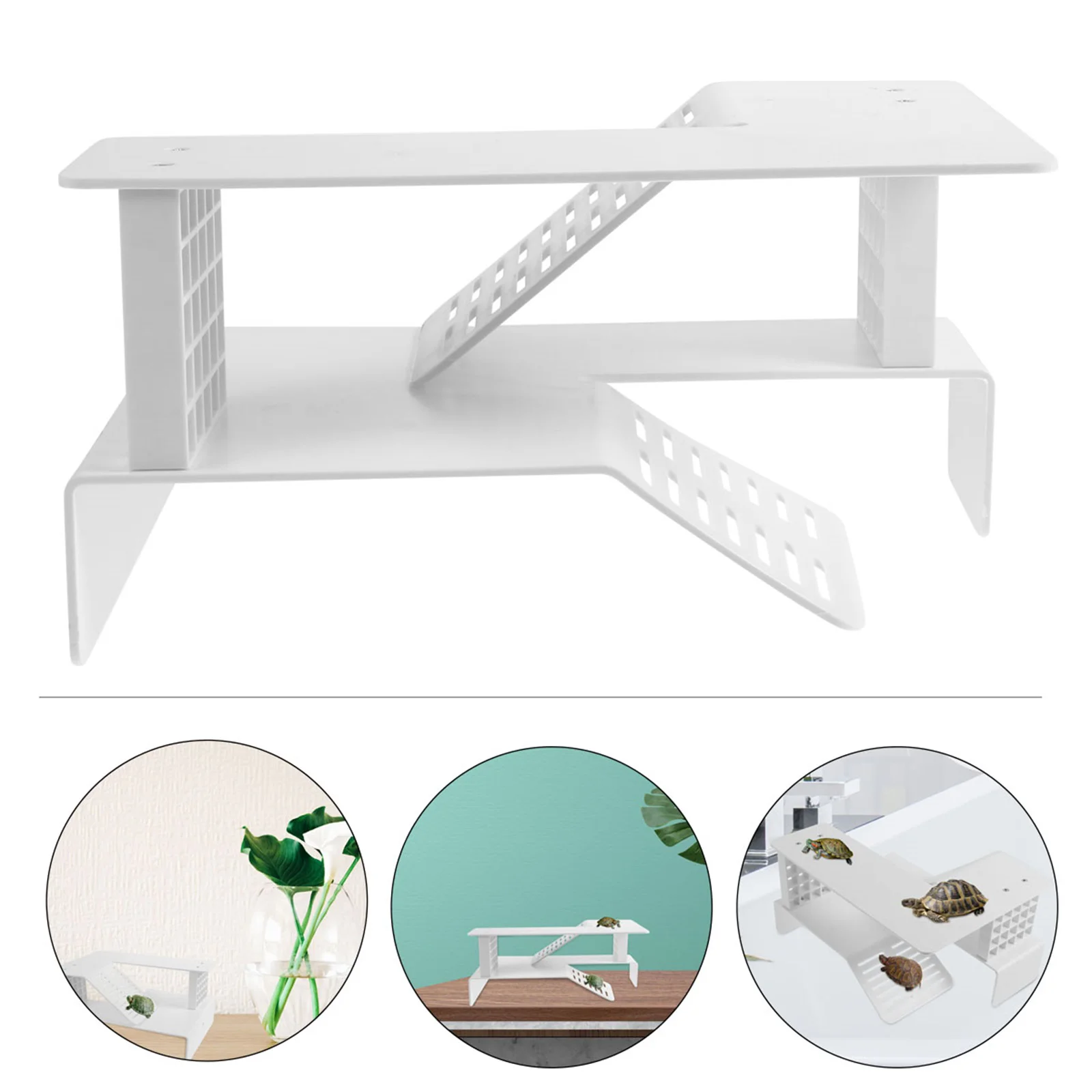 Turtle Platform Basking Tank Floating Fish Tortoise Aquarium Terrace Area Water Climbing Terrapin Ramp Frog Landscape Docks Dock 
Turtle Platform Basking Tank Floating Fish Tortoise Aquarium Terrace Area Water Climbing Terrapin Ramp Frog Landscape Docks Dock