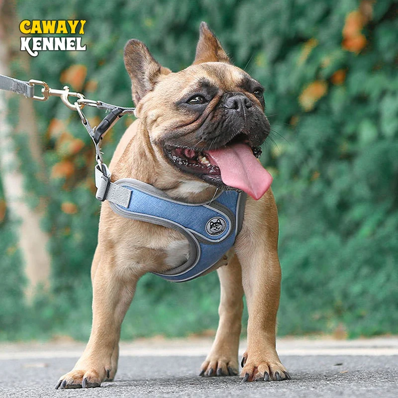 CAWAYI KENNEL Dog Harness Set Breathable Reflective Pet Harness Vest for Small-medium Dogs Outdoor Running Training Accessories
CAWAYI KENNEL Dog Harness Set Breathable Reflective Pet Harness Vest for Small-medium Dogs Outdoor Running Training Accessories