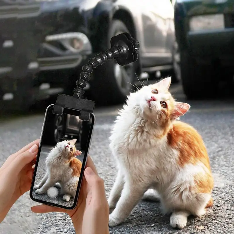 Pet Selfie Stick For Dogs Cat Photography Tools With 360 Degree Rotation Pet Selfie Rods Dog Selfie Stick Cell Phone Tools 
Pet Selfie Stick For Dogs Cat Photography Tools With 360 Degree Rotation Pet Selfie Rods Dog Selfie Stick Cell Phone Tools