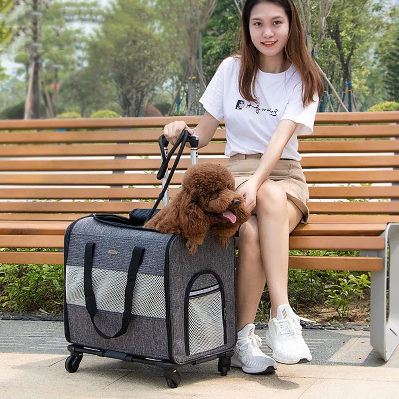 Multi-functional Backpack for Pet Travel, Outdoor Trolley Case, Pet Carrier Bag with Wheels, Detachable, Foldable Pet Bag
Multi-functional Backpack for Pet Travel, Outdoor Trolley Case, Pet Carrier Bag with Wheels, Detachable, Foldable Pet Bag