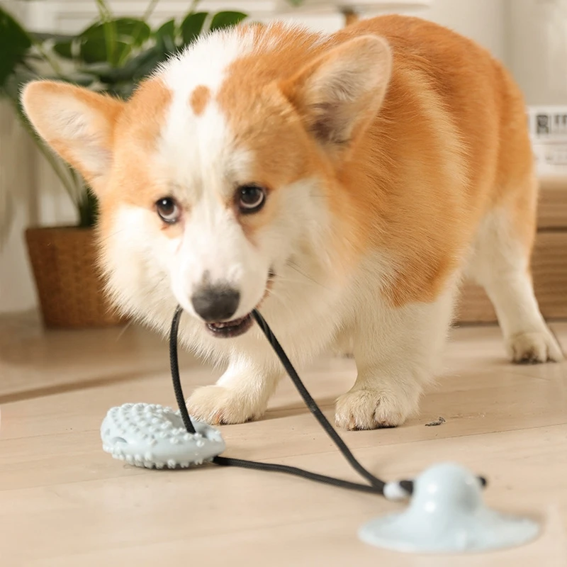 Dog Toys Suction Cup Tug Interactive Bite Resist Tooth Cleaning Dog Ball for Medium Large Dogs TPR Ball Games Pet Supplies
Dog Toys Suction Cup Tug Interactive Bite Resist Tooth Cleaning Dog Ball for Medium Large Dogs TPR Ball Games Pet Supplies