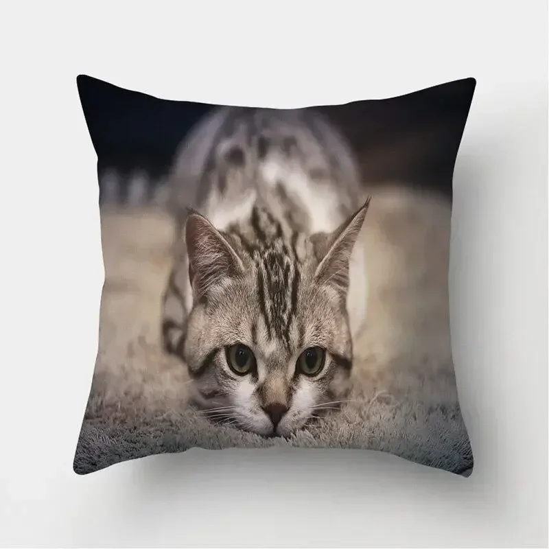 Квадратная наволочка 45x45 см с рисунком котов
Квадратная наволочка 45x45 см с рисунком котов