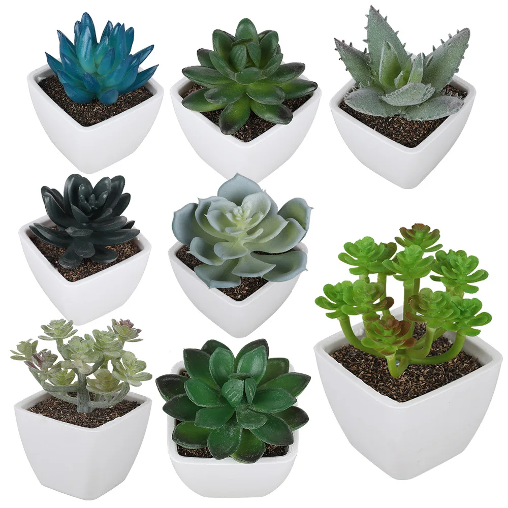 Artificial Green Succulent Plants Fake Simulation Bonsai With Square Pots Decorative Mini Plants Home Office Desktop Ornaments
Artificial Green Succulent Plants Fake Simulation Bonsai With Square Pots Decorative Mini Plants Home Office Desktop Ornaments