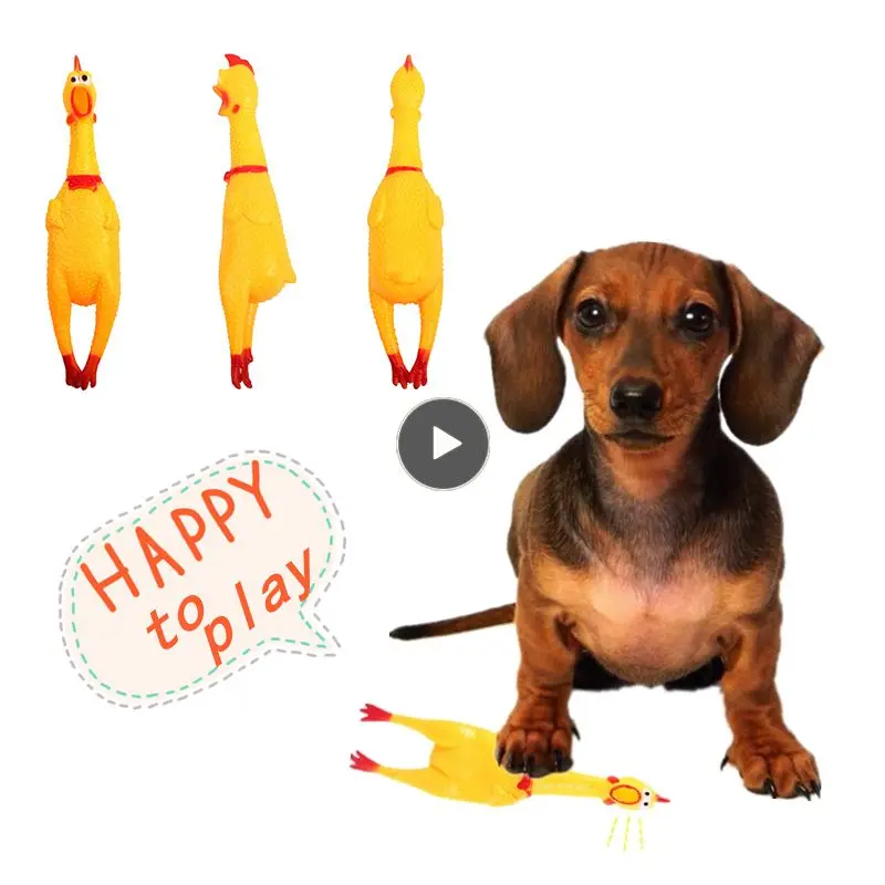 3 Sizes Baby Novelty Toys Screaming Chicken Pets Toys Sound Funny Toy Safety Rubber Model Accessories For Children Dropshipping
3 Sizes Baby Novelty Toys Screaming Chicken Pets Toys Sound Funny Toy Safety Rubber Model Accessories For Children Dropshipping