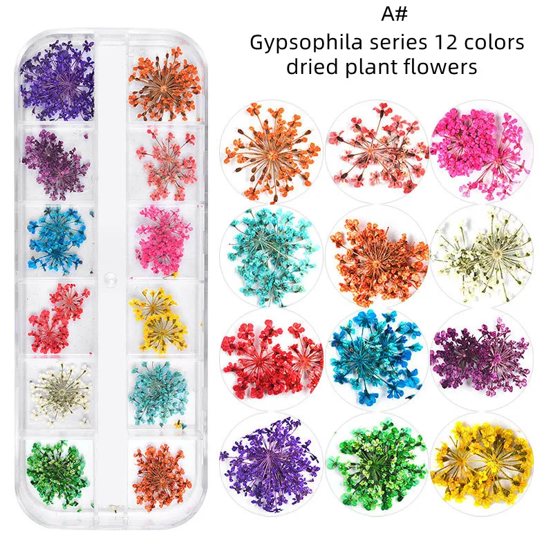 12 Lattice/Box Pure Natural Plant Dried Flower Series Nail Decoration Fupplies Girl Summer Party Outing Manicure Princess Style
12 Lattice/Box Pure Natural Plant Dried Flower Series Nail Decoration Fupplies Girl Summer Party Outing Manicure Princess Style