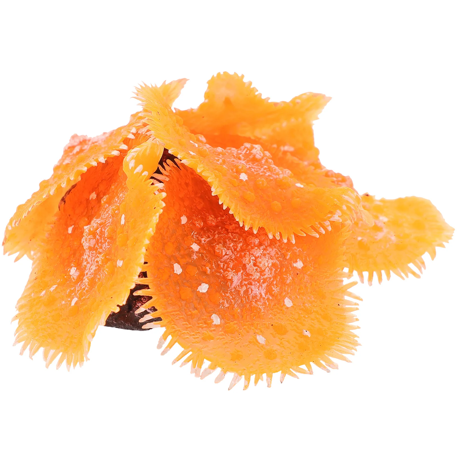 Aquarium Coral Figurine Tabletop Sculpture Desktop Vivid Decor Fish Tank Decorative Decoration
Aquarium Coral Figurine Tabletop Sculpture Desktop Vivid Decor Fish Tank Decorative Decoration