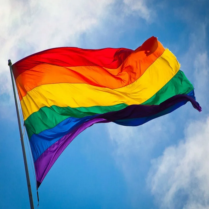 LGBT 90*150cm Lesbian Pride Flag Gay Pride Bisexual Pansexual Geminbowl Rainbow Hang Flag Party Decoration Flag
LGBT 90*150cm Lesbian Pride Flag Gay Pride Bisexual Pansexual Geminbowl Rainbow Hang Flag Party Decoration Flag