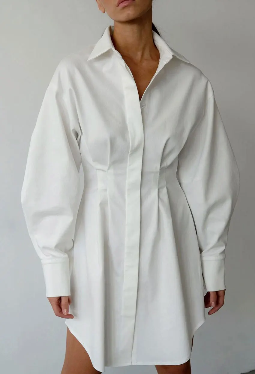 Women's Spring and Autumn French Shirt Skirt Temperament Show Thin Long Sleeve Dress Skirt
Women's Spring and Autumn French Shirt Skirt Temperament Show Thin Long Sleeve Dress Skirt