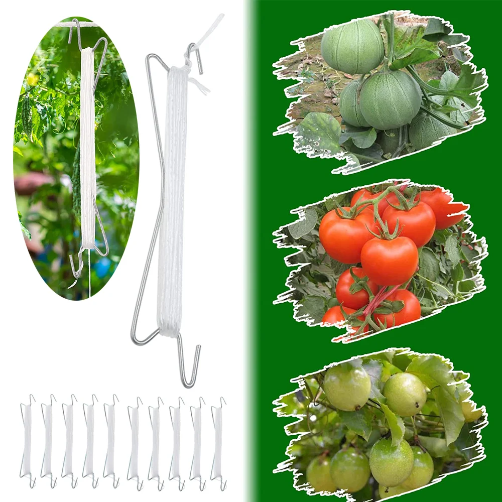 Plant Tomato Support Ear Hook Clip Plants Trellis Garden Vegetable Patch Fruit Hooks Clamps Gardening Supplies Nylon Rope
Plant Tomato Support Ear Hook Clip Plants Trellis Garden Vegetable Patch Fruit Hooks Clamps Gardening Supplies Nylon Rope