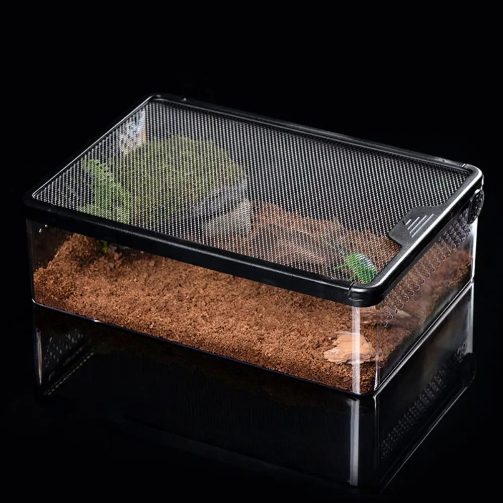 

Transparent Reptile Feeding Box Plastic Anti Escape Spider Breeding Box Metal Breathable Lizard Habitat Terrarium Snake