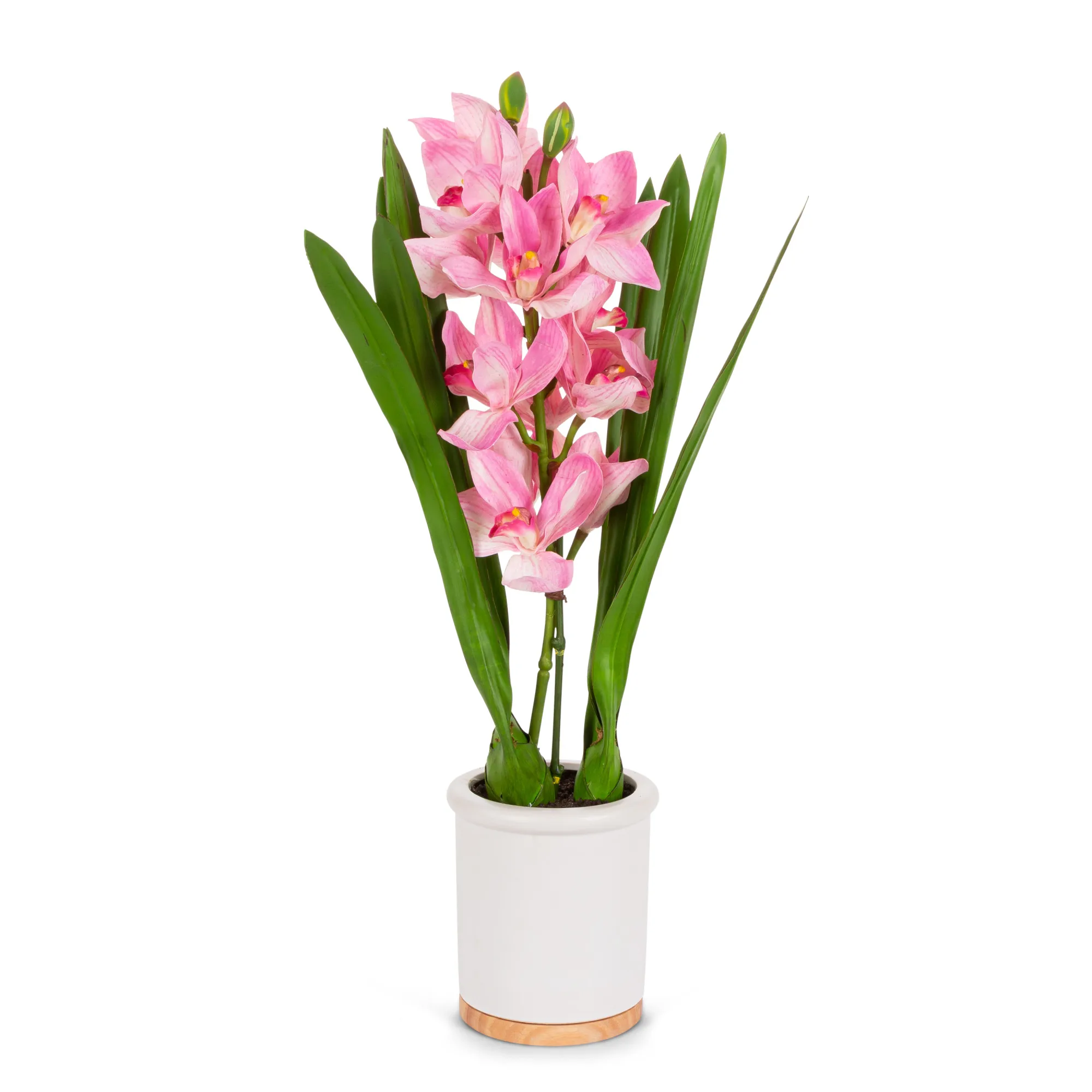 Free Shipping Gerson 26-Inch Tall Real Touch Ultra-Realistic Pink Cymbidium Orchid Arrangement in Modern White Ceramic and Wood
Free Shipping Gerson 26-Inch Tall Real Touch Ultra-Realistic Pink Cymbidium Orchid Arrangement in Modern White Ceramic and Wood