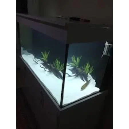 WHITE SILICA SAND FOR 10KG (FINE GRAINED WHITE AQUARIUM LITTER) 447909752
WHITE SILICA SAND FOR 10KG (FINE GRAINED WHITE AQUARIUM LITTER) 447909752