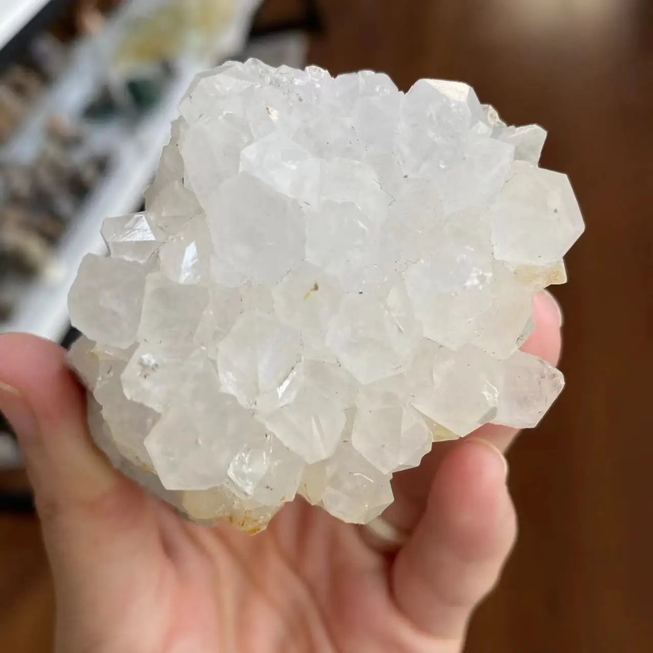 Natural Crystal Crystal Cluster Energy Gem Reiki Healing Room Office Decoration Gift Aquarium Pendant 140-150g
Natural Crystal Crystal Cluster Energy Gem Reiki Healing Room Office Decoration Gift Aquarium Pendant 140-150g
