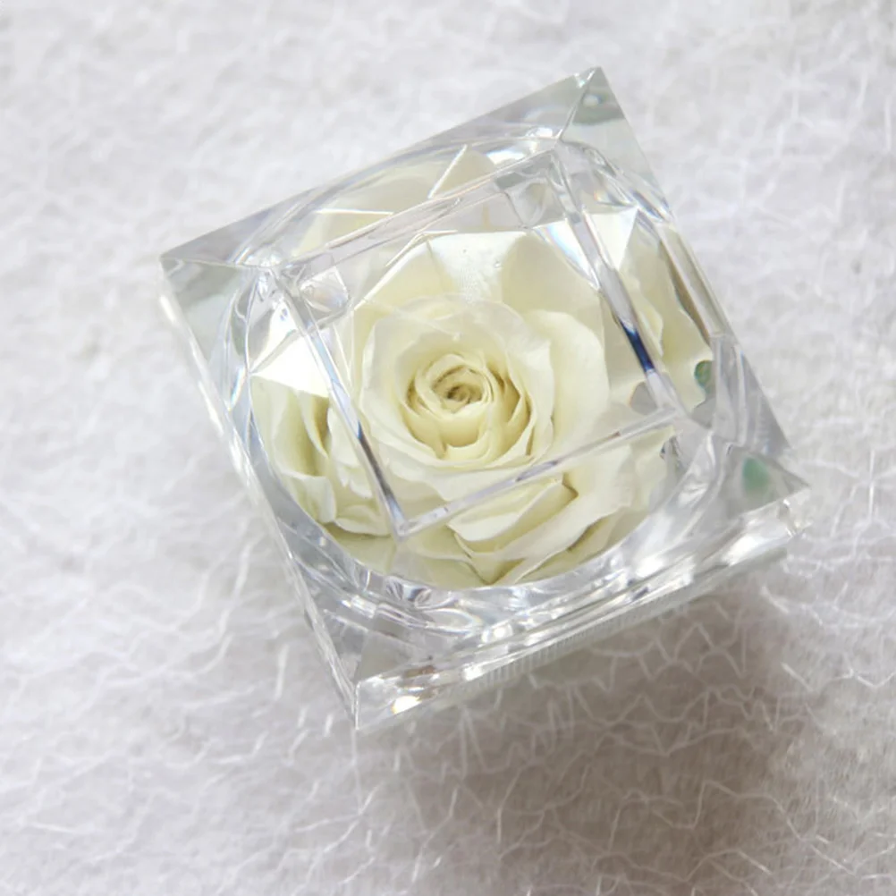 1Pcs Preserved Flower Eternity Rose Never Withered Rose Gift for Valentine's Day Birthday and Anniversary with Pink eternal
1Pcs Preserved Flower Eternity Rose Never Withered Rose Gift for Valentine's Day Birthday and Anniversary with Pink eternal