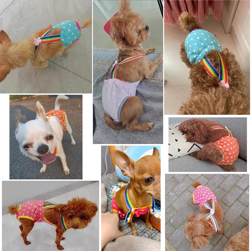 Dog Suspenders Physiological Pants Teddy Golden Retriever Menstrual Dog Hygiene Diapers Anti-harassment Estrus Pet Aunt Pants
Dog Suspenders Physiological Pants Teddy Golden Retriever Menstrual Dog Hygiene Diapers Anti-harassment Estrus Pet Aunt Pants