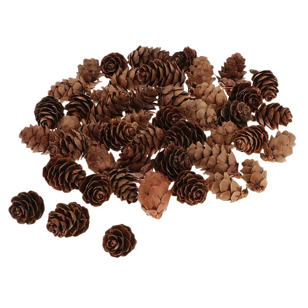 NEW2022 60Pcs Mini Decorative Pinecone Pine Cones Fall Winter Holiday Home Decoration
NEW2022 60Pcs Mini Decorative Pinecone Pine Cones Fall Winter Holiday Home Decoration