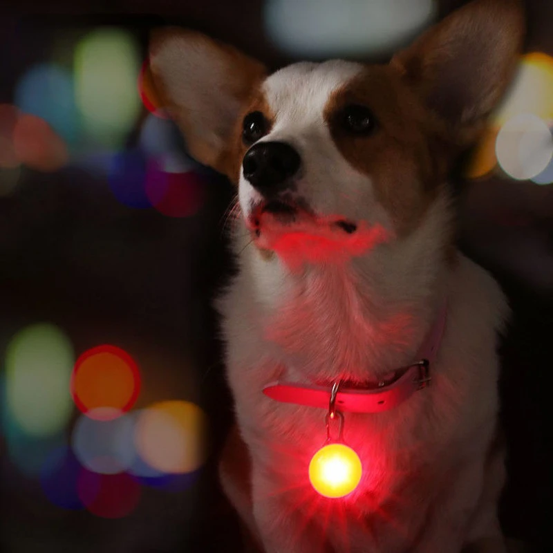 Pet Glow Pendant Dog Tag Night Glow Anti Loss Dog Flash Collar Pendant Dog Supplies
Pet Glow Pendant Dog Tag Night Glow Anti Loss Dog Flash Collar Pendant Dog Supplies