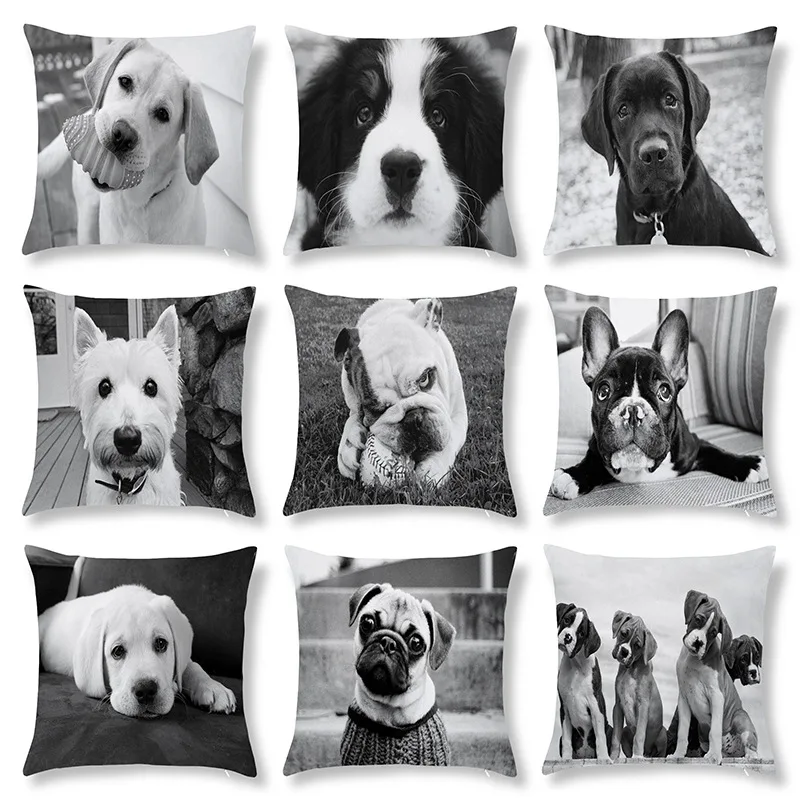 45x45cm Black and White Art Photos of Cute Pet Puppies Peach Skin Pillowcase Custom Office Sofa Cushion Pillowcase
45x45cm Black and White Art Photos of Cute Pet Puppies Peach Skin Pillowcase Custom Office Sofa Cushion Pillowcase