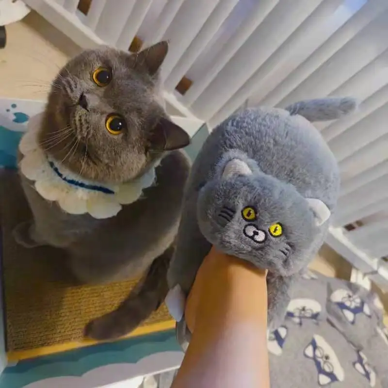 Women Men Winter Home Kawaii Floor Shoes Furry Slippers Girl White Mules Funny Cute Gift Slippers Cat Comfort
Women Men Winter Home Kawaii Floor Shoes Furry Slippers Girl White Mules Funny Cute Gift Slippers Cat Comfort