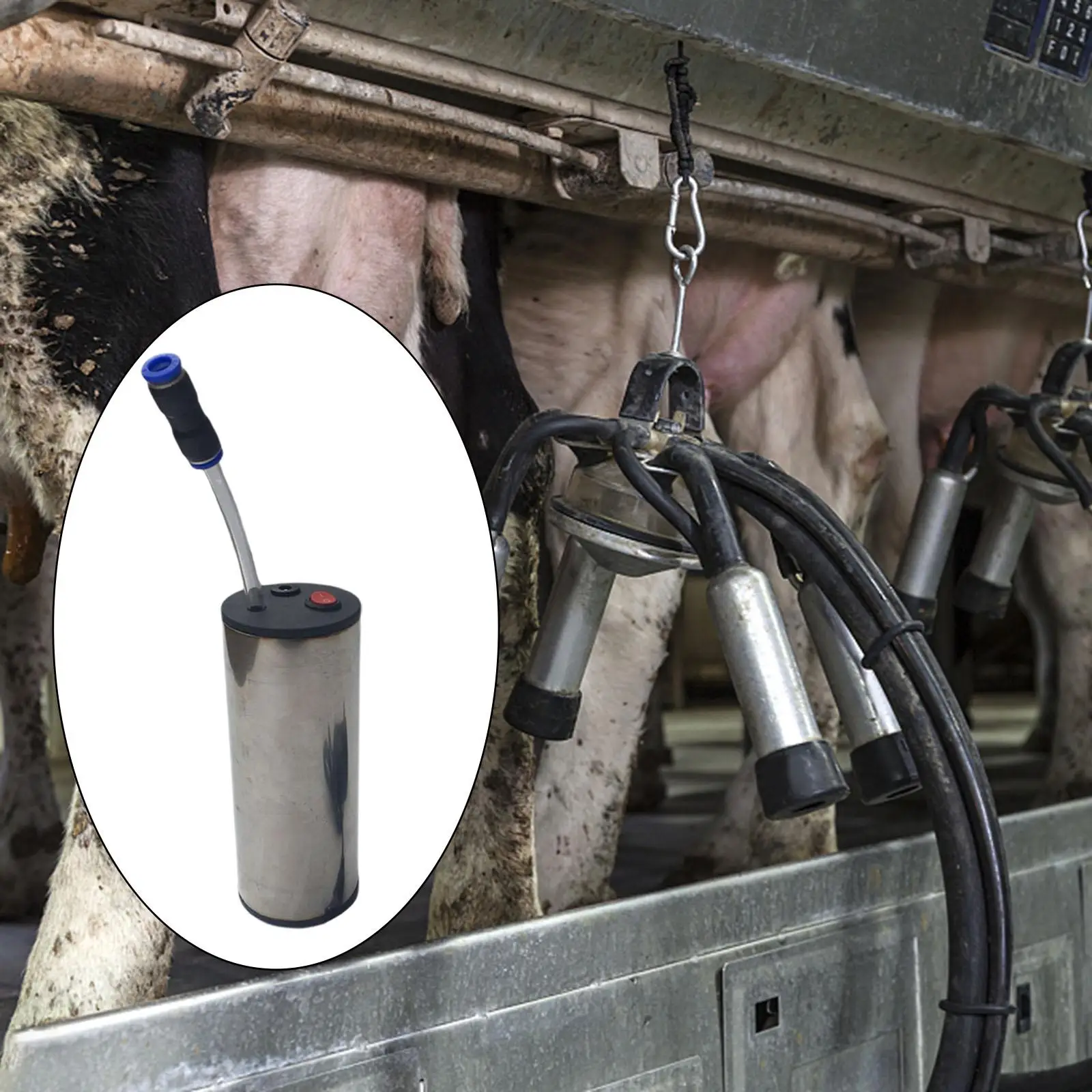 

Stainless Steel Milking Machine Vacuum Pump Livestock Handling Supplies High Efficiency 12W 12V for Cows Cattle Farm Animals