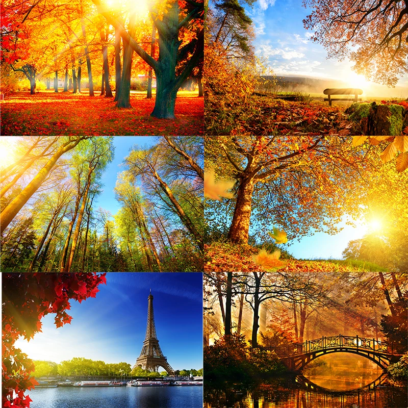 Three Ratels QL12 Autumn beautiful red maple leaf landscape art decoration wall sticker
Three Ratels QL12 Autumn beautiful red maple leaf landscape art decoration wall sticker