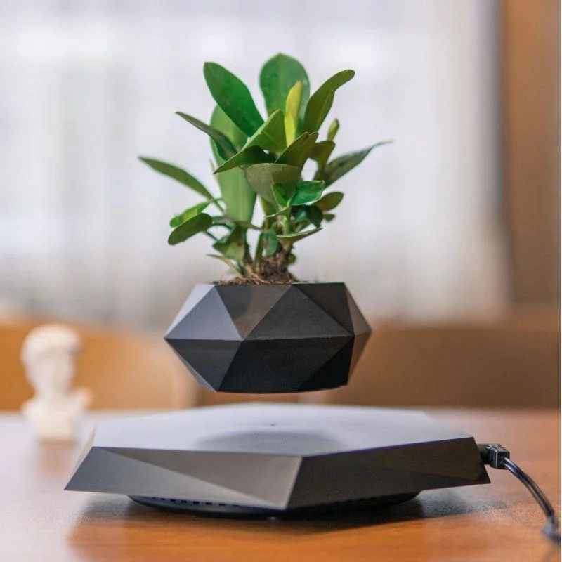 Home Decor Maglev Potted Plant New Peculiar Pot Creative Bonsai Arts and Crafts Gifts Living Room Decoration Ceramic Vase
Home Decor Maglev Potted Plant New Peculiar Pot Creative Bonsai Arts and Crafts Gifts Living Room Decoration Ceramic Vase