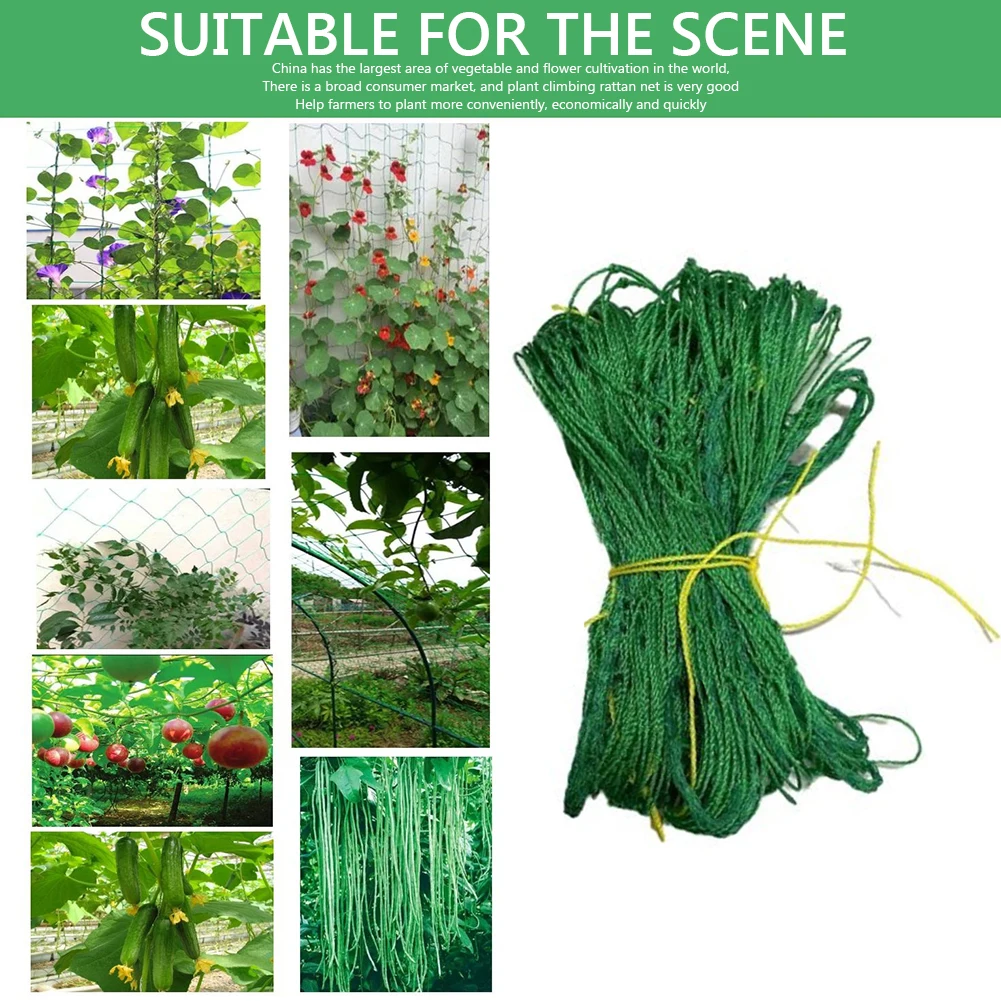 Lattice Net Green Gardening Plant Climbing Frame Mesh Ornaments Vine Climbing Rack Net Heat-resistance for Cucumbers Watermelons
Lattice Net Green Gardening Plant Climbing Frame Mesh Ornaments Vine Climbing Rack Net Heat-resistance for Cucumbers Watermelons