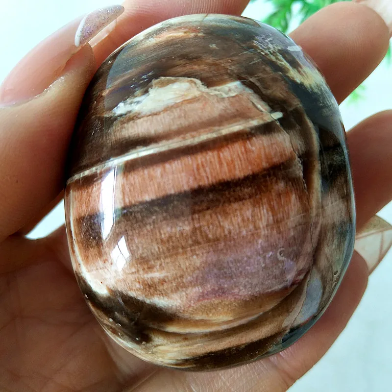 Natural Stone Wood Fossil Palm St Chakra Spiritual Energy Repair Healing Natural Qi Wealth Good Luck Meditation Reiki Healing 
Natural Stone Wood Fossil Palm St Chakra Spiritual Energy Repair Healing Natural Qi Wealth Good Luck Meditation Reiki Healing