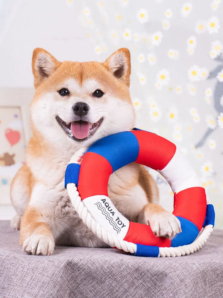 Dog Toys Bite-Resistant Sounding Pet Dog Molar Teddy Chai Dog Undulled Artifact Large Dog Alone from Hi Knot
Dog Toys Bite-Resistant Sounding Pet Dog Molar Teddy Chai Dog Undulled Artifact Large Dog Alone from Hi Knot