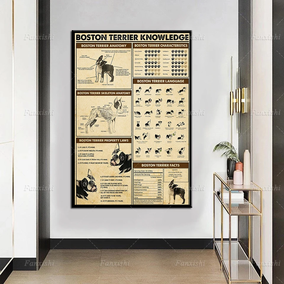 Home Decor Canvas Paintings Boston Terrier Knowledge Vintage Pictures Hd Prints Modern Poster Modular Classroom Office Wall Art
Home Decor Canvas Paintings Boston Terrier Knowledge Vintage Pictures Hd Prints Modern Poster Modular Classroom Office Wall Art