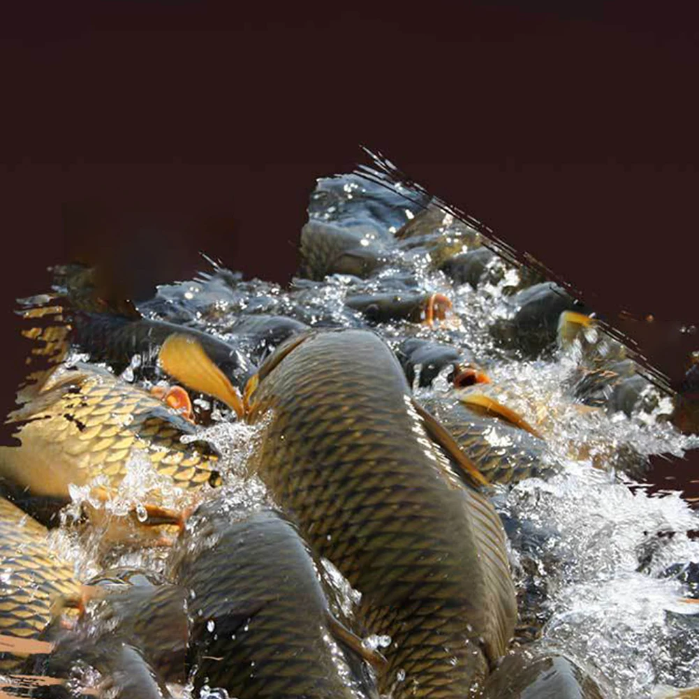 Fishing Baits Additive Powder Strong Fish Attractant Carp Groundbaits Attraction Smell Lure Carp Fishing Tackle
Fishing Baits Additive Powder Strong Fish Attractant Carp Groundbaits Attraction Smell Lure Carp Fishing Tackle