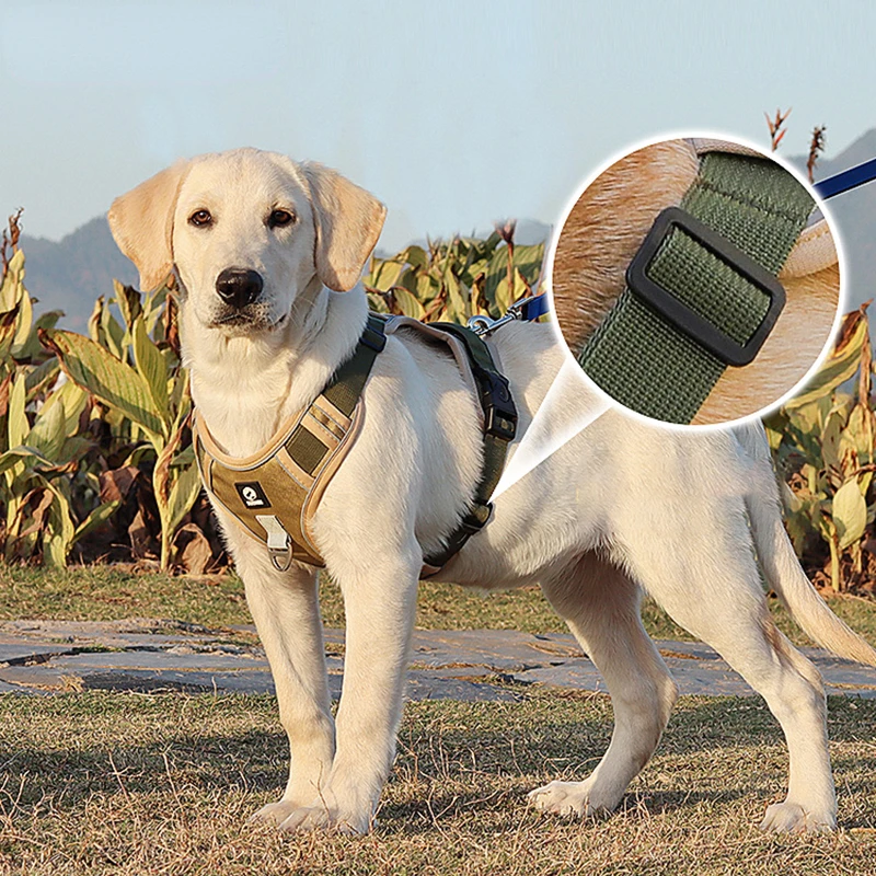 Large Dog Reflective Rope Dog Lead Leash Dog Chain Walking Dog Vest Type Dog Rope Golden Retriever Labrador Chest Strap
Large Dog Reflective Rope Dog Lead Leash Dog Chain Walking Dog Vest Type Dog Rope Golden Retriever Labrador Chest Strap