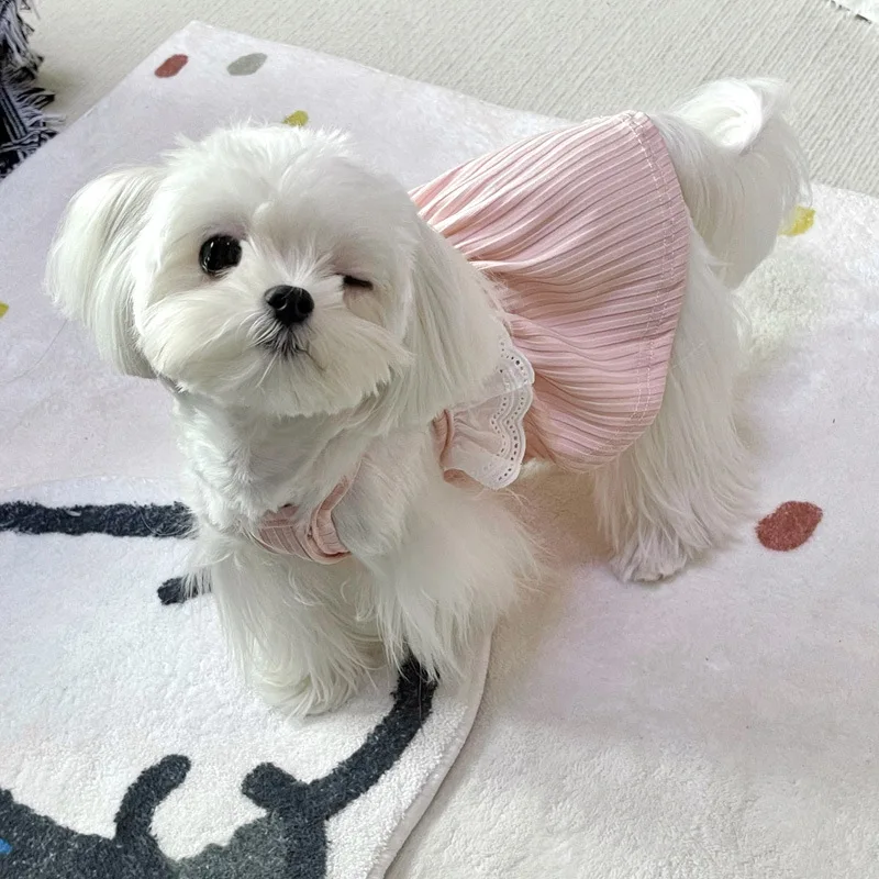Pet Dog Clothing Summer Thin Strap Vest Dress Puppy Dog Clothes for French Bulldog Small Dogs Chihuahau Bichon Pug Costume
Pet Dog Clothing Summer Thin Strap Vest Dress Puppy Dog Clothes for French Bulldog Small Dogs Chihuahau Bichon Pug Costume