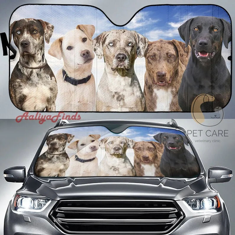 Солнцезащитный козырек для лобового стекла автомобиля Catahoulas, Лучшие идеи для подарка 2022
Солнцезащитный козырек для лобового стекла автомобиля Catahoulas, Лучшие идеи для подарка 2022