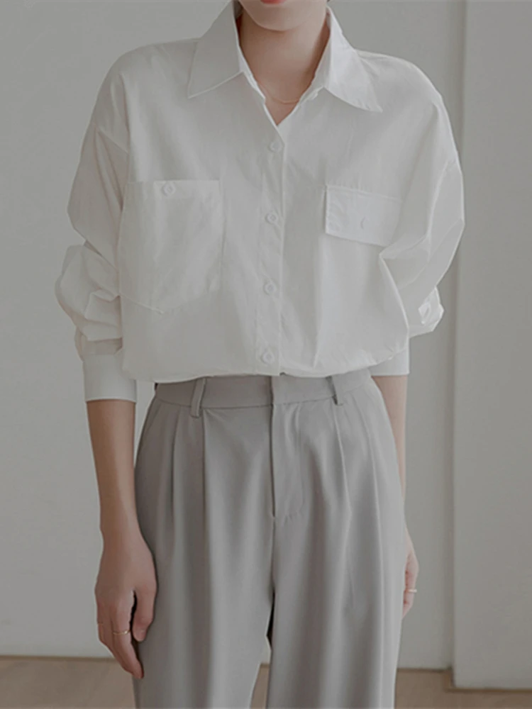 New 2022 Vintage Shirts Korean Solid Color Fashion Elegant Office Lady Chic Female Women Spring Summer Blouses Light Blue Tops
New 2022 Vintage Shirts Korean Solid Color Fashion Elegant Office Lady Chic Female Women Spring Summer Blouses Light Blue Tops