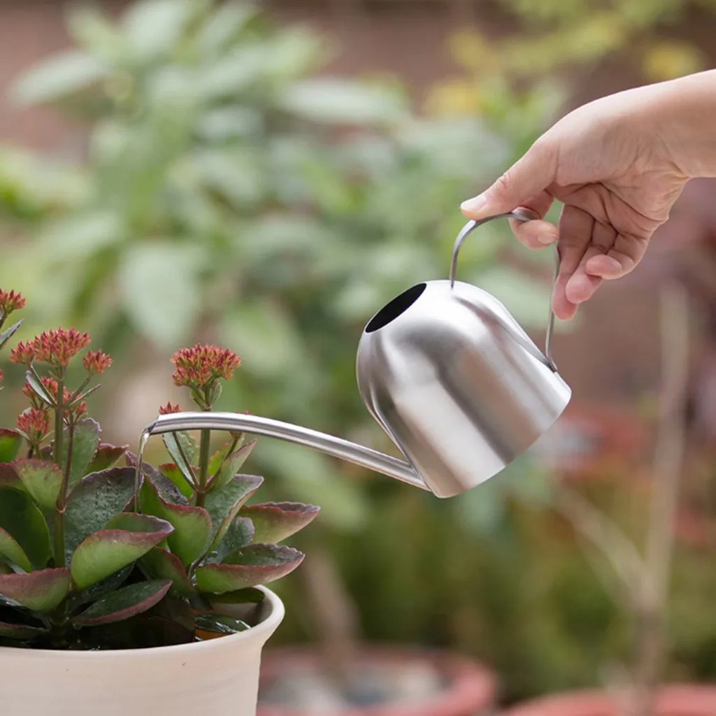 Colorful for Plants Indoor with Drainage Pot Steel Long Indoors Small Stainless Solid Can Watering ML Shelving for Retail Store
Colorful for Plants Indoor with Drainage Pot Steel Long Indoors Small Stainless Solid Can Watering ML Shelving for Retail Store