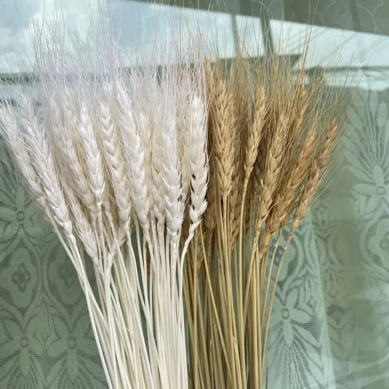 50Pcs Real Wheat Ear Natural Dried Flowers Wedding Decoration Boho Home Decoration Small Flowers For Crafts Christmas Supplies
50Pcs Real Wheat Ear Natural Dried Flowers Wedding Decoration Boho Home Decoration Small Flowers For Crafts Christmas Supplies