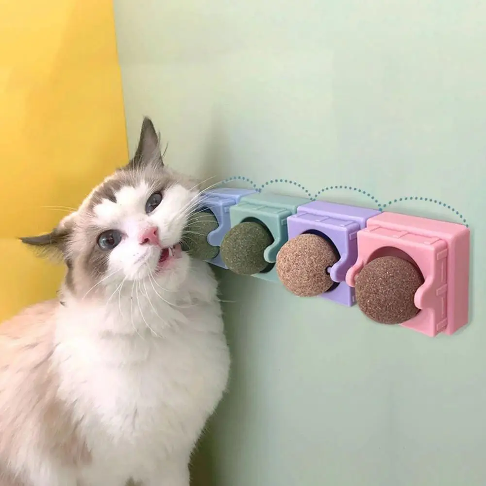 No Pigment Cat Toy Smooth Edge Chewing Toy Catnip Ball Pet Cat Biting Ball Cat Supplies Catnip Toy
No Pigment Cat Toy Smooth Edge Chewing Toy Catnip Ball Pet Cat Biting Ball Cat Supplies Catnip Toy