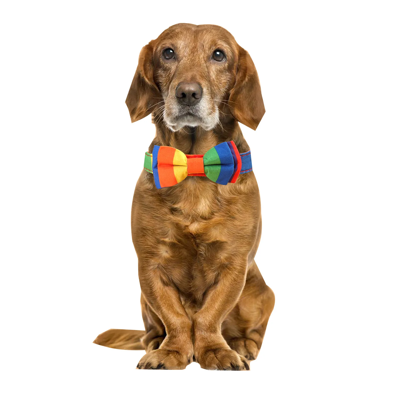 Rainbow Heavy Duty Clip Buckle Pet Collar for Small Medium Big Dogs Chihuahua Personalised Dog Collar Coleira Para Cachorro
Rainbow Heavy Duty Clip Buckle Pet Collar for Small Medium Big Dogs Chihuahua Personalised Dog Collar Coleira Para Cachorro